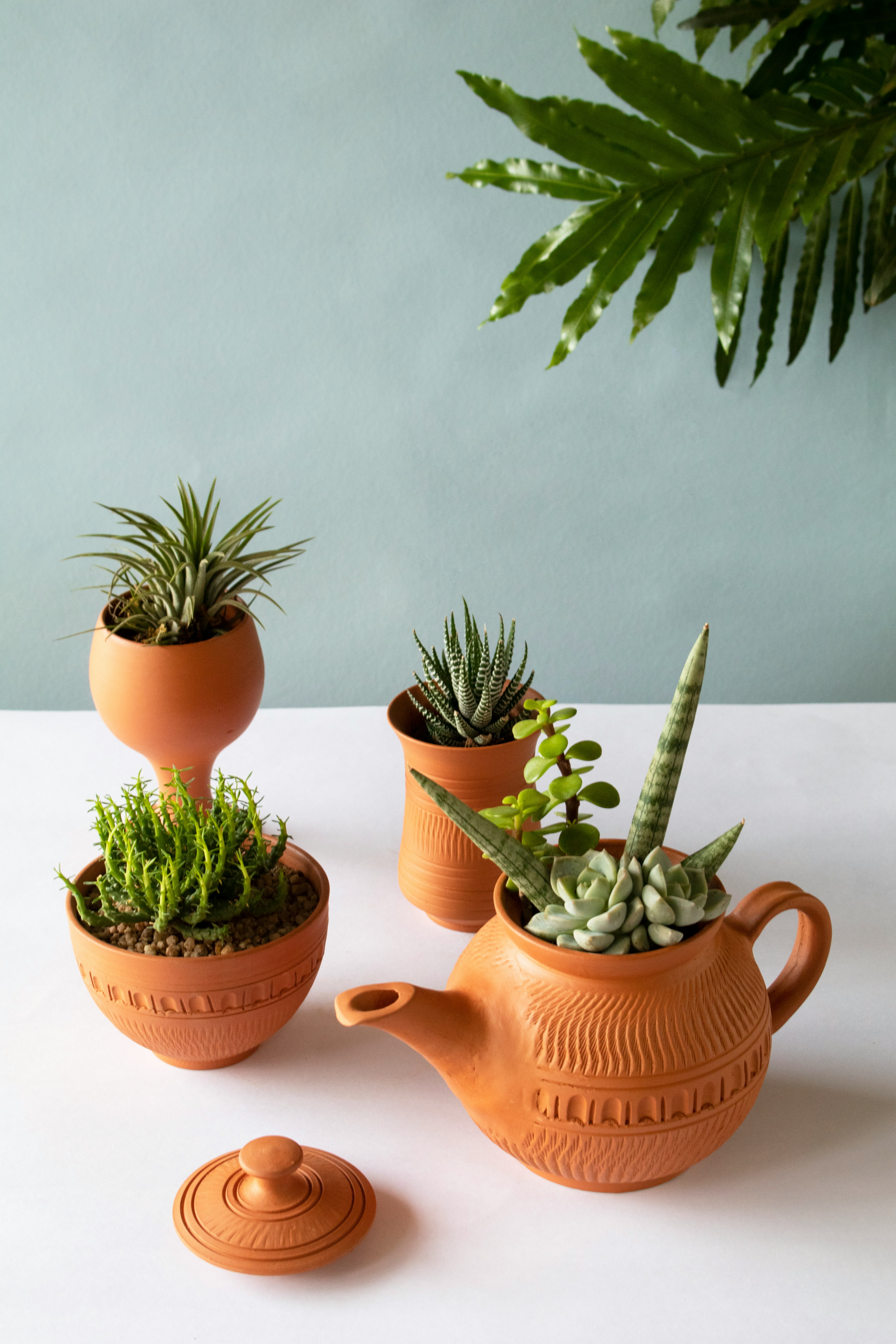 Pots & Planters