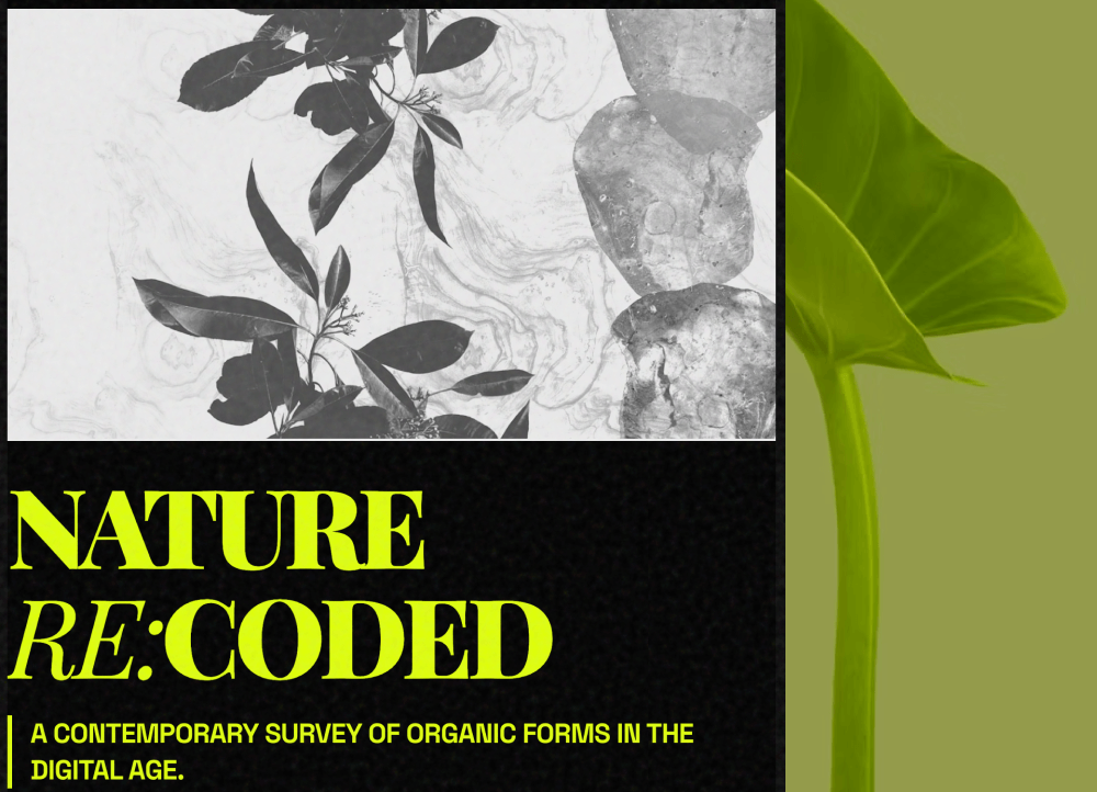 Neon Art Poster Festival Email Template